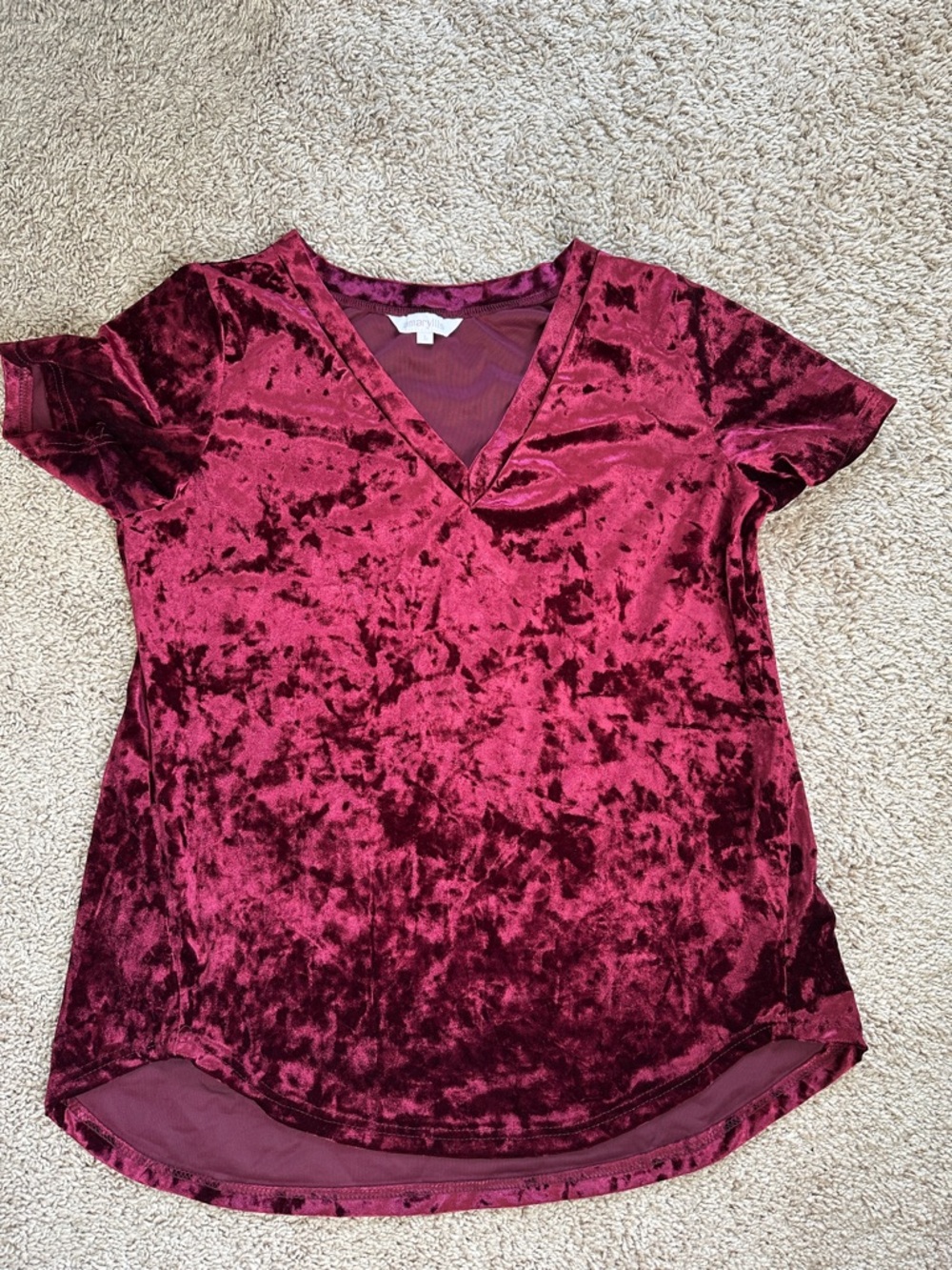 Amaryllis Crushed Velvet V-Neck Tee in Wine